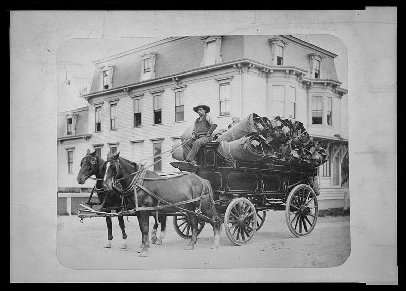 Howe’s Express wagon, & unknown driver, Howe & Co.