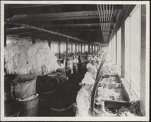 Rag Cutting Room, Weston Mill