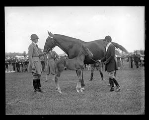 Hose and foal