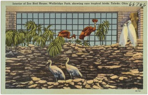 Interior of Zoo Bird House, Walbridge Park, showing rare tropical birds, Toledo, Ohio