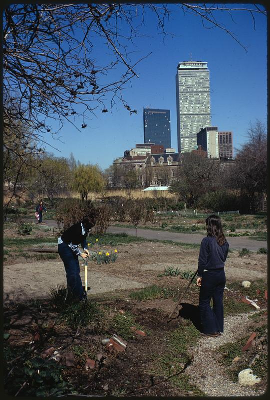 Personal gardens in Fenway