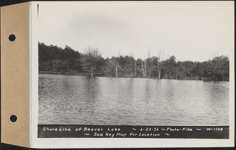 Shore line of Beaver Lake, Ware, Mass., Jun. 23, 1936