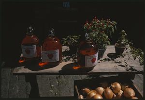 Plants and bottles of cider on shelf
