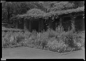 Southwest corner of Mrs. R. T. Crane's herbaceous garden