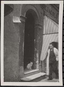 Man walking by cat in doorway