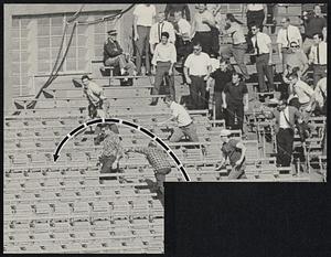 Baseball spectators looking for a ball in the stands