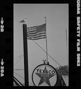 Seagull, flag, and Texaco sign