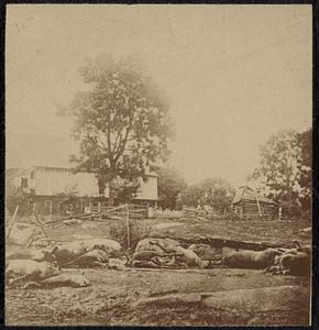 In Trossel's backyard, Gettysburg
