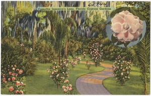 Camellia Japonica's lane, Florida Cypress Gardens