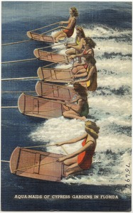 Aqua-maids of cypress gardens in Florida