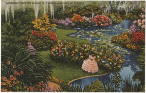 Southern flowers bloom in cypress gardens in Florida