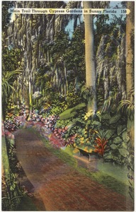 Main trail through cypress gardens in sunny Florida