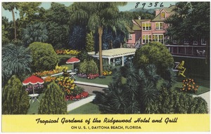 Tropical gardens of the Ridgewood Hotel and Grill, on U.S. 1, Daytona Beach, Florida
