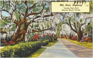 Old Dixie Highway, Tomoka State Park, Daytona Beach, Florida