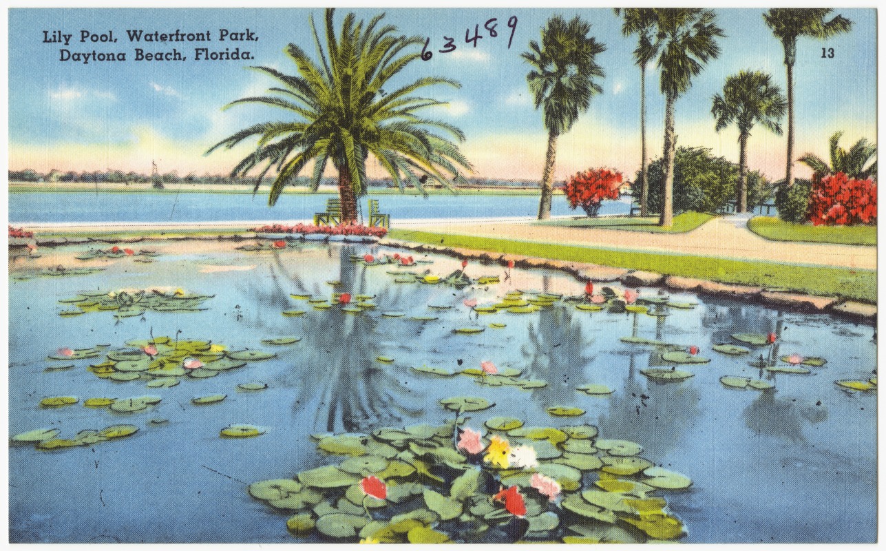 Lily Pool, Waterfront Park, Daytona Beach, Florida
