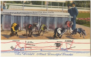 The world's most beautiful beaches. Starting boxes at Washington County Kennel Club, Elbro, Florida