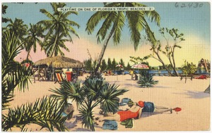 Playtime on one of Florida's tropic beaches