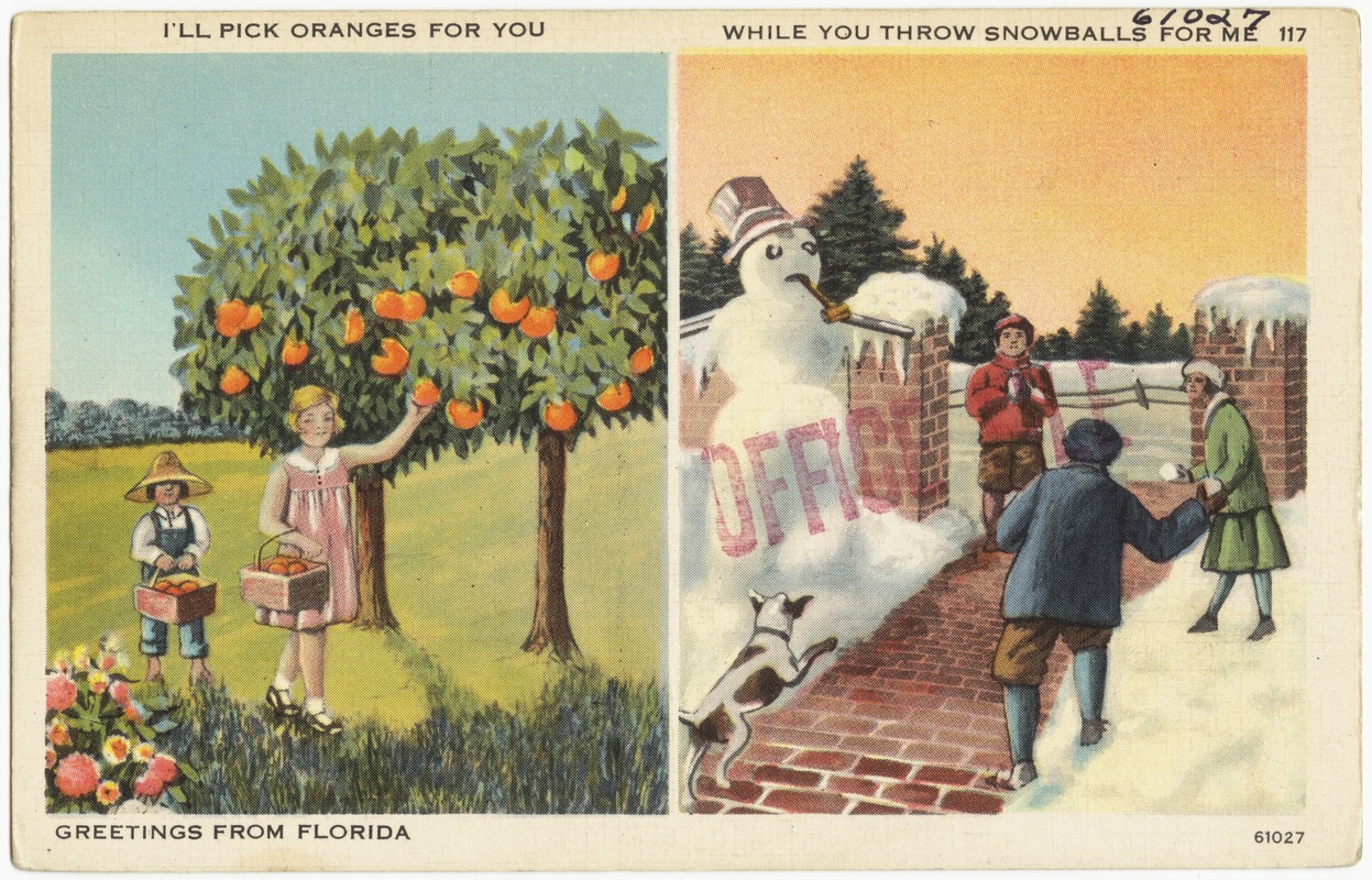I'll pick oranges for you while you throw snowballs for me.  Greetings from Florida