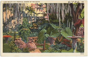 Lush beauty in the tropical garden of the south