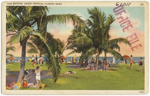 Sun bathing under tropical Florida skies