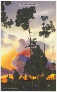 Florida silhouette