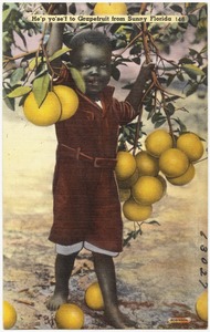 He'p yo'se'f to grapefruit from sunny Florida