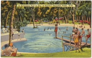 A swimming pool in one of Florida's beautiful parks