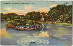 Peace and beauty in a quiet Florida park