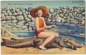 Beauty and the beast in Florida