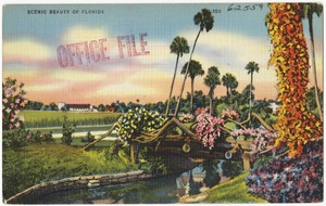 Scenic beauty of Florida