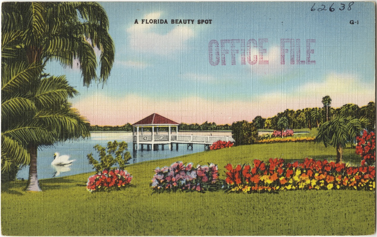 A Florida beauty spot