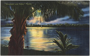 "Moonlight and Palms," Florida