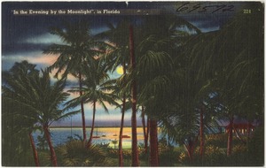 "In the evening by the moonlight," in Florida