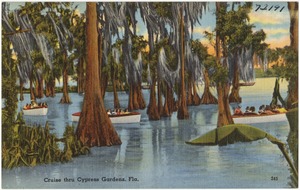 Cruise through cypress gardens, Florida