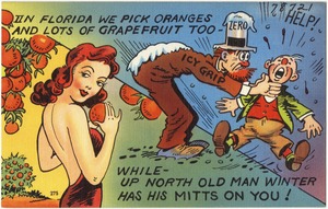In Florida we pick oranges and lots of grapefruit too- while up north old man winter has his mitts on you!