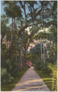 Scene in Highland Hammock, Florida