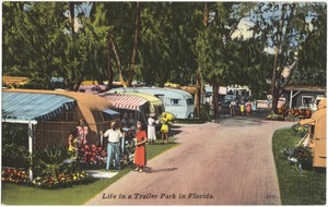 Life in a trailer park in Florida