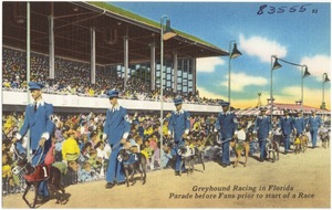 Greyhound racing in Florida, parade before fans prior to the start of a race