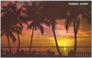 Florida sunset