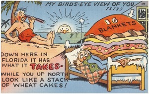 My birds-eye view of you, Down here in Florida it has what it takes- while you up north look like a stack of wheat cakes!