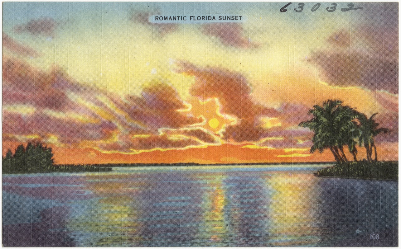 Romantic Florida sunset