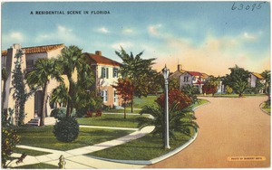 A residential scene in Florida