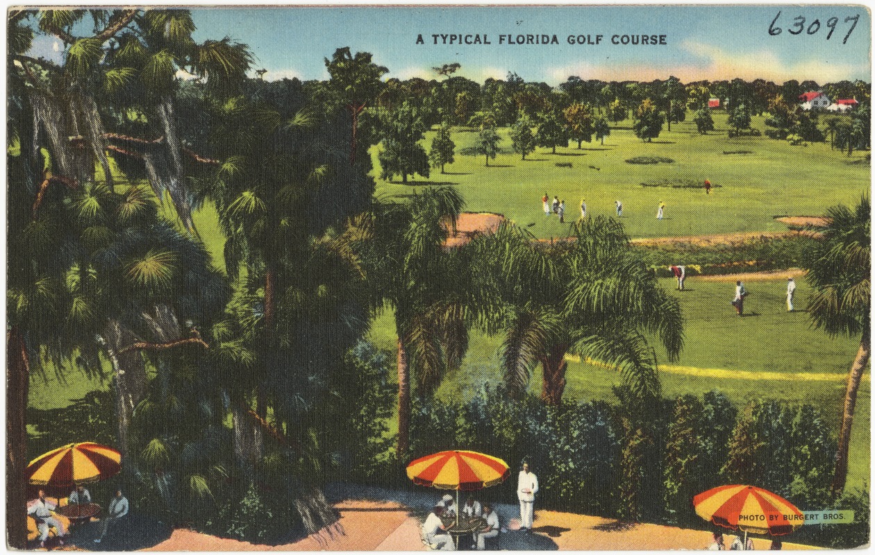 A typical Florida golf course