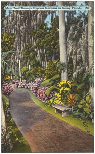 Main trail through cypress gardens in sunny Florida