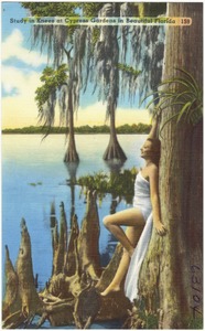 Study in knees at cypress gardens in beautiful Florida