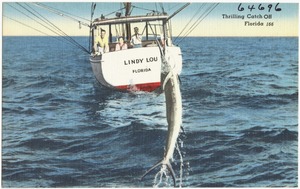 Thrilling catch off Florida