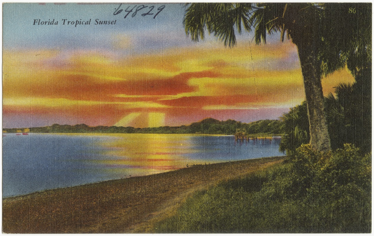 Florida tropical sunset
