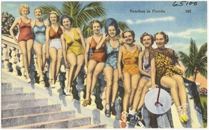 Peaches in Florida