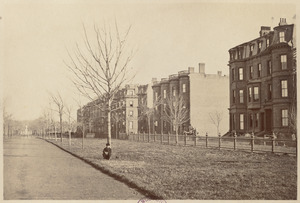 Commonwealth Avenue. South side