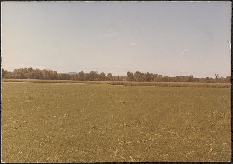 Possibly High Lawn Farm property